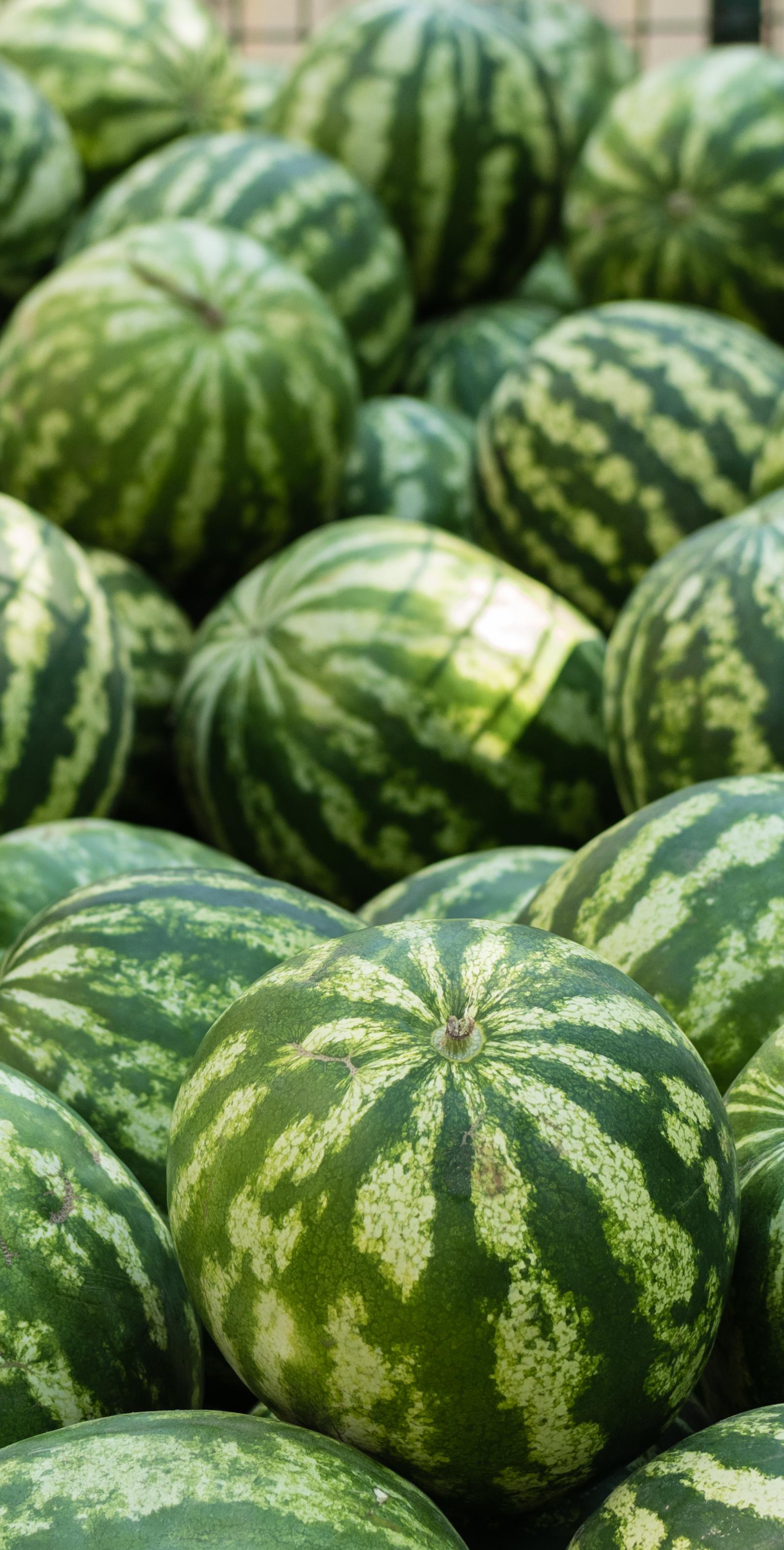 Houston Farmers Market Produce Guide: July Picks