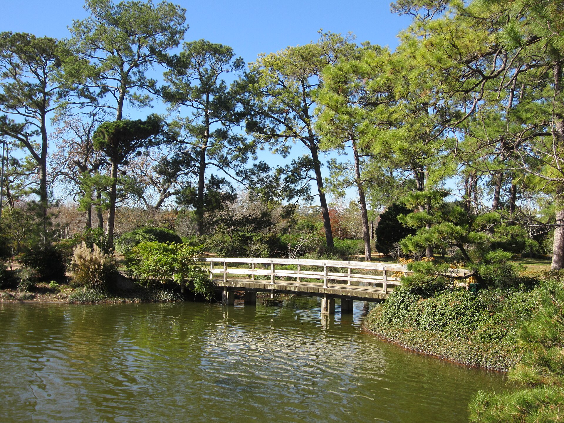 Hermann Park Japanese Garden and Houston Day-Out Guide